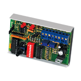 Pulse Input Analog Output